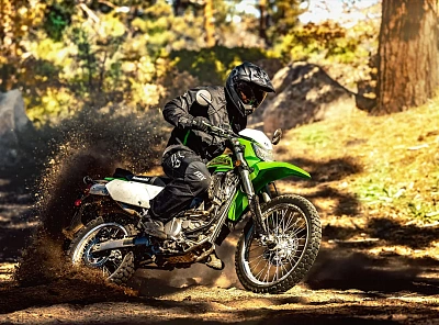 Kawasaki KLX300