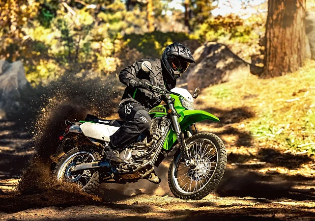 Kawasaki KLX300