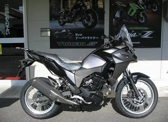 Kawasaki Versys-X 250