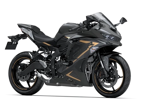 Kawasaki Ninja ZX-25R