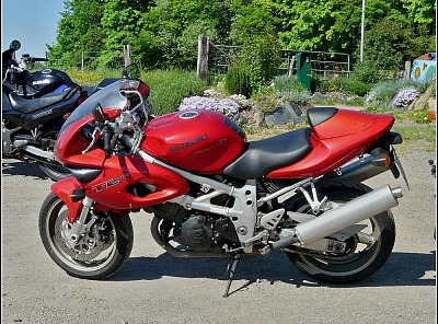 Suzuki TL 1000