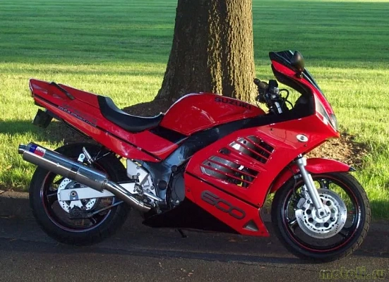 Suzuki RF 600