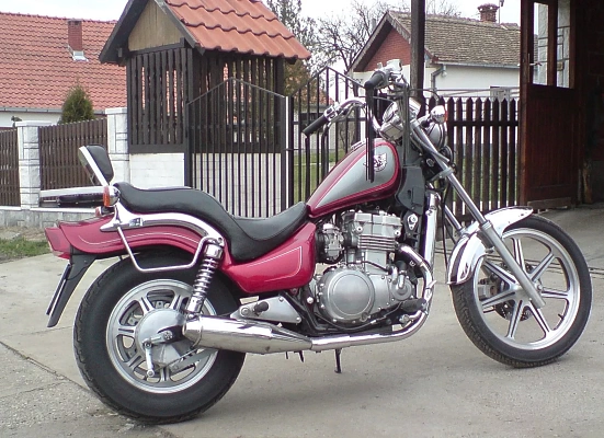 Kawasaki EN500