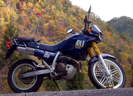 Honda AX-1 (NX250)